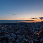 Panoramic Castle View Sky Park شقة